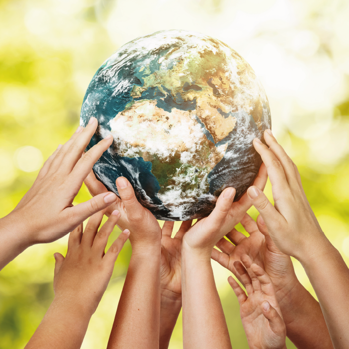 Leia mais sobre o artigo Meio Ambiente
